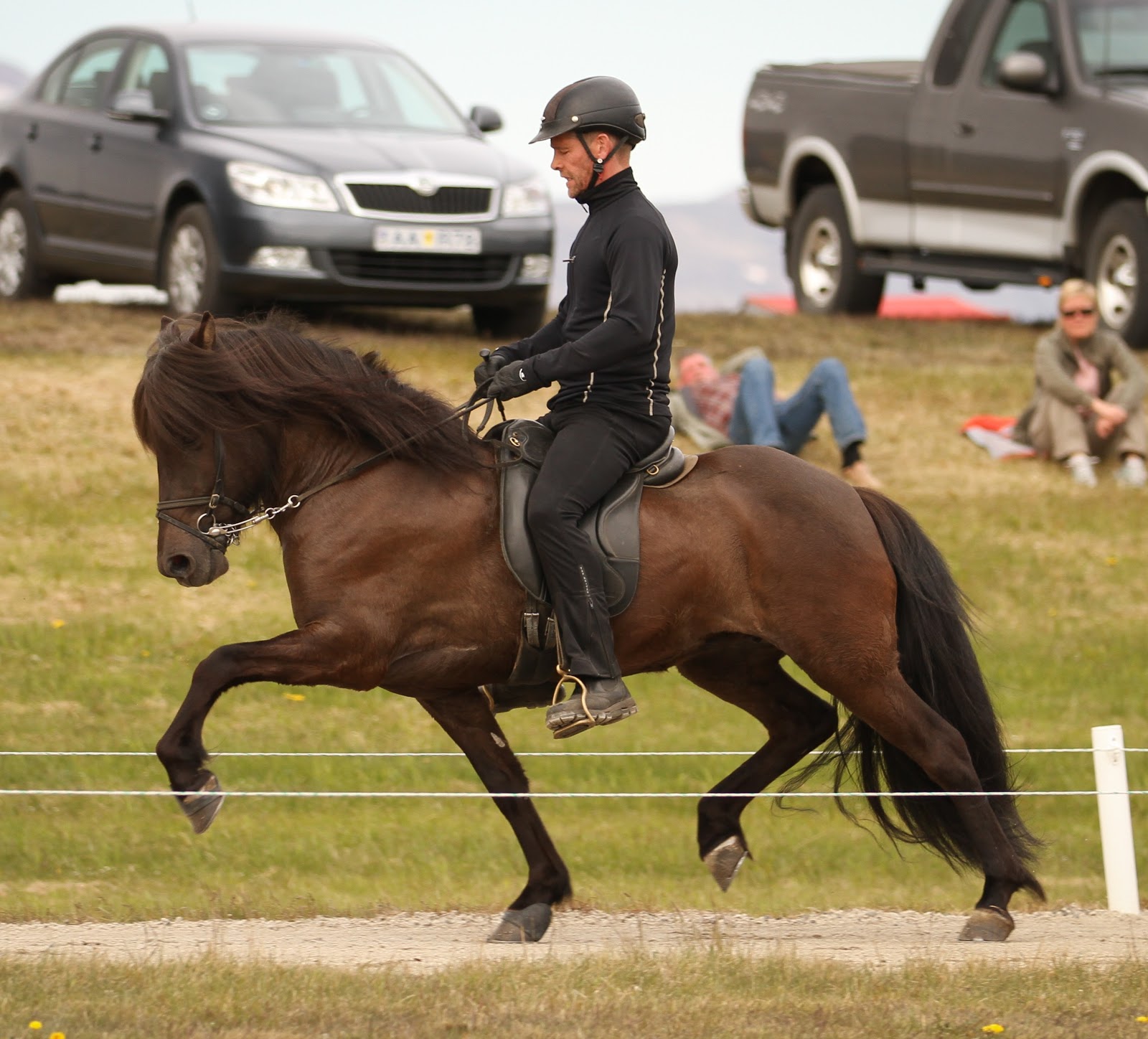 Blessi ngsLife with an Icelandic Horse Gaits of the Icelandic Horse